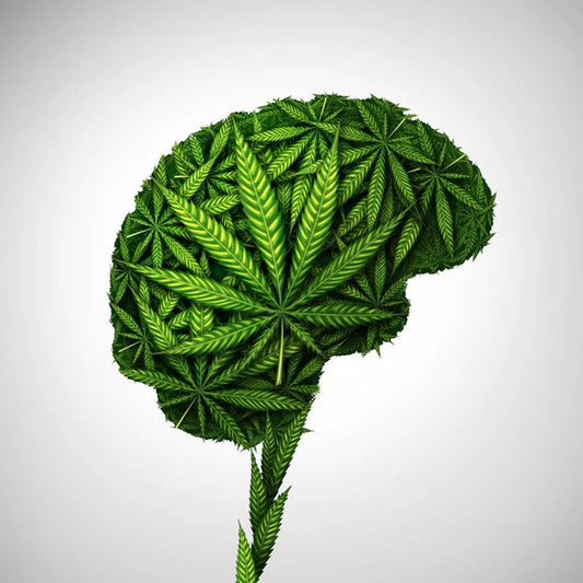 CBD et douleurs neurophatiques